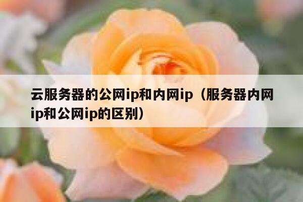 云服务器的公网ip和内网ip（服务器内网ip和公网ip的区别） 第1张