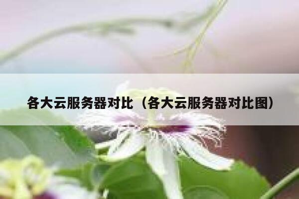 各大云服务器对比（各大云服务器对比图） 第1张