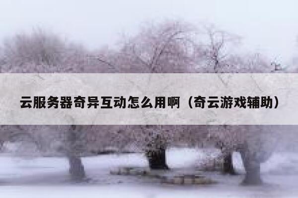 云服务器奇异互动怎么用啊(奇云游戏辅助) 第1张 云服务器奇异互动怎么用啊(奇云游戏辅助) 第1张