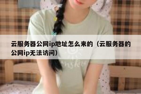 云服务器公网ip地址怎么来的(云服务器的公网ip无法访问) 第1张 云服务器公网ip地址怎么来的(云服务器的公网ip无法访问) 第1张