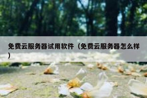 免费云服务器试用软件（免费云服务器怎么样） 第1张
