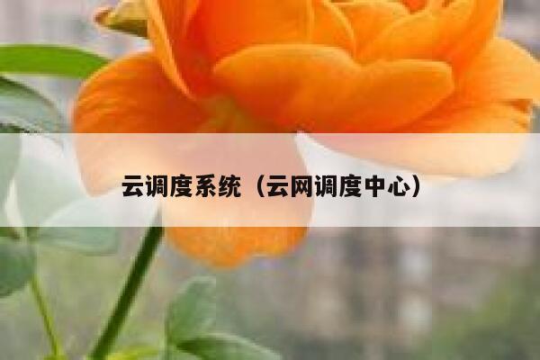 云调度系统（云网调度中心） 第1张