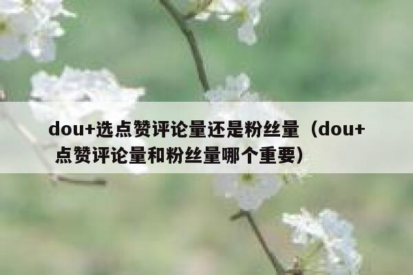dou+选点赞评论量还是粉丝量（dou+ 点赞评论量和粉丝量哪个重要） 第1张