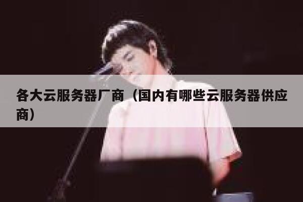 各大云服务器厂商（国内有哪些云服务器供应商） 第1张