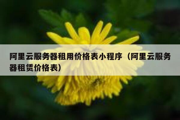 阿里云服务器租用价格表小程序（阿里云服务器租赁价格表） 第1张