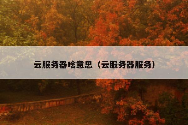 云服务器啥意思（云服务器服务） 第1张