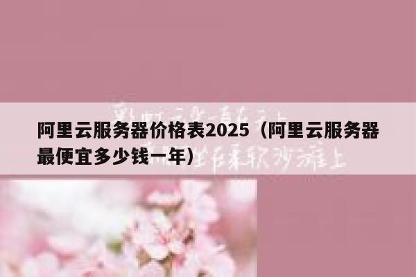 阿里云服务器价格表2025（阿里云服务器最便宜多少钱一年） 第1张
