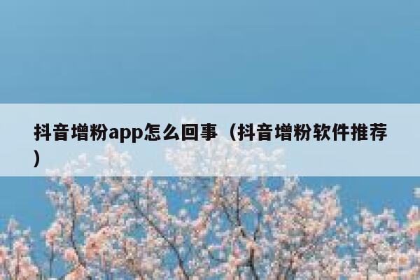 抖音增粉app怎么回事(抖音增粉软件推荐) 第1张 抖音增粉app怎么回事(抖音增粉软件推荐) 第1张