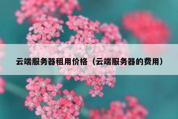 云端服务器租用价格(云端服务器的费用) 第1张 云端服务器租用价格(云端服务器的费用) 第1张