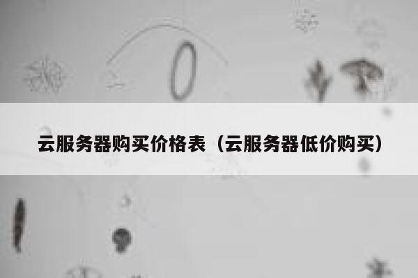 云服务器购买价格表（云服务器低价购买） 第1张