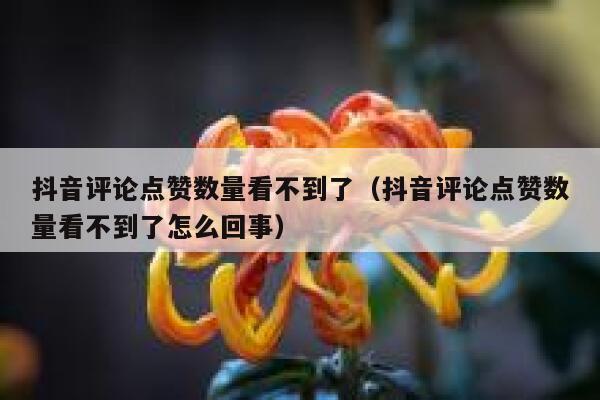 抖音评论点赞数量看不到了（抖音评论点赞数量看不到了怎么回事） 第1张
