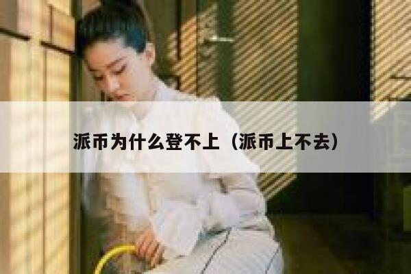 派币为什么登不上（派币上不去） 第1张