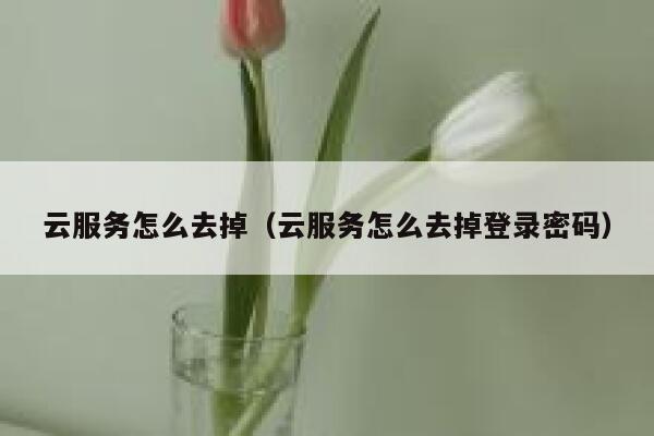 云服务怎么去掉（云服务怎么去掉登录密码） 第1张