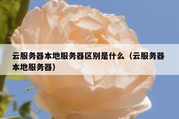 云服务器本地服务器区别是什么（云服务器 本地服务器） 第1张