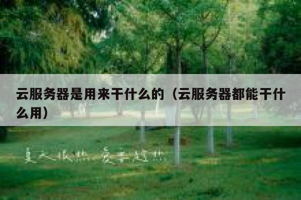 云服务器是用来干什么的(云服务器都能干什么用) 第1张 云服务器是用来干什么的(云服务器都能干什么用) 第1张