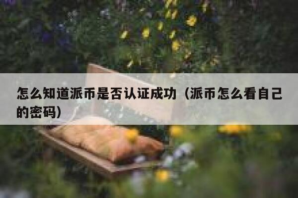 怎么知道派币是否认证成功（派币怎么看自己的密码） 第1张
