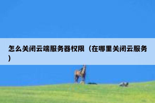 怎么关闭云端服务器权限(在哪里关闭云服务) 第1张 怎么关闭云端服务器权限(在哪里关闭云服务) 第1张