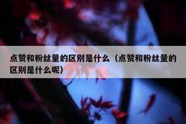 点赞和粉丝量的区别是什么（点赞和粉丝量的区别是什么呢） 第1张