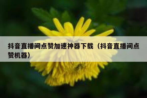 抖音直播间点赞加速神器下载（抖音直播间点赞机器） 第1张