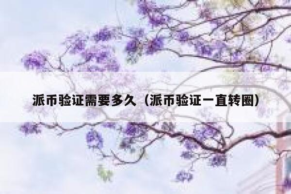 派币验证需要多久（派币验证一直转圈） 第1张