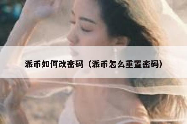 派币如何改密码(派币怎么重置密码) 第1张 派币如何改密码(派币怎么重置密码) 第1张