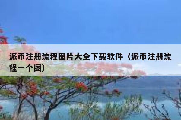 派币注册流程图片大全下载软件（派币注册流程一个图） 第1张