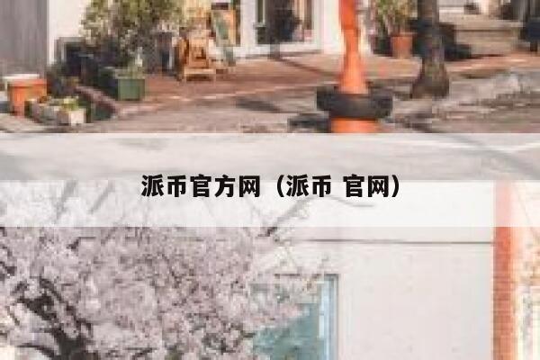 派币官方网（派币 官网） 第1张