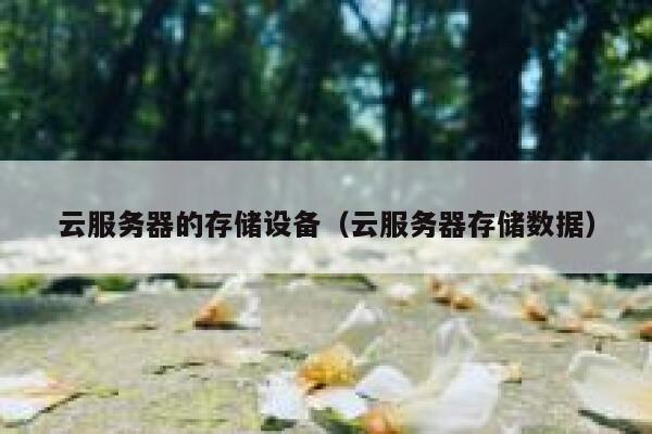 云服务器的存储设备(云服务器存储数据) 第1张 云服务器的存储设备(云服务器存储数据) 第1张