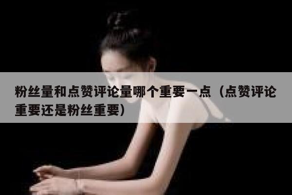 粉丝量和点赞评论量哪个重要一点(点赞评论重要还是粉丝重要) 第1张 粉丝量和点赞评论量哪个重要一点(点赞评论重要还是粉丝重要) 第1张