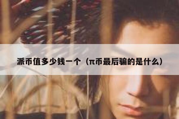 派币值多少钱一个(π币最后骗的是什么) 第1张 派币值多少钱一个(π币最后骗的是什么) 第1张