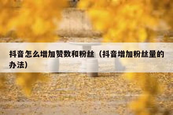 抖音怎么增加赞数和粉丝(抖音增加粉丝量的办法) 第1张 抖音怎么增加赞数和粉丝(抖音增加粉丝量的办法) 第1张