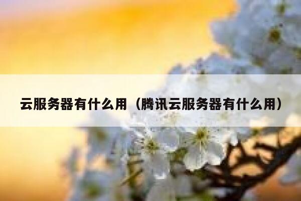 云服务器有什么用(腾讯云服务器有什么用) 第1张 云服务器有什么用(腾讯云服务器有什么用) 第1张