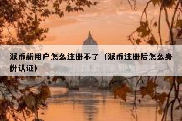 派币新用户怎么注册不了（派币注册后怎么身份认证） 第1张