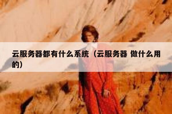 云服务器都有什么系统（云服务器 做什么用的） 第1张