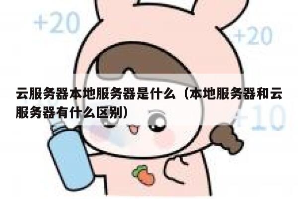 云服务器本地服务器是什么（本地服务器和云服务器有什么区别） 第1张