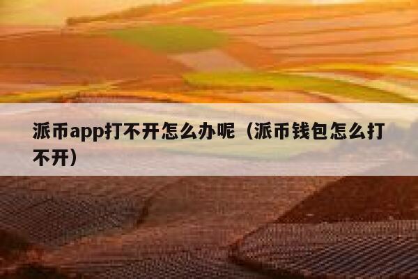 派币app打不开怎么办呢（派币钱包怎么打不开） 第1张