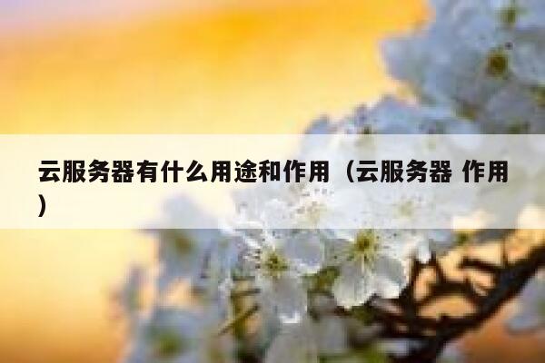 云服务器有什么用途和作用(云服务器 作用) 第1张 云服务器有什么用途和作用(云服务器 作用) 第1张