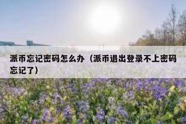 派币忘记密码怎么办（派币退出登录不上密码忘记了） 第1张