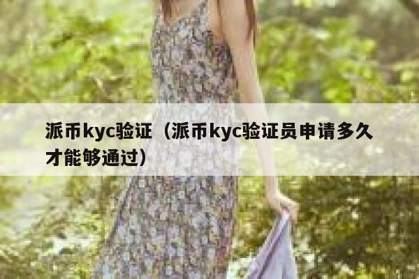 派币kyc验证（派币kyc验证员申请多久才能够通过） 第1张