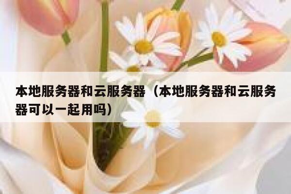 本地服务器和云服务器（本地服务器和云服务器可以一起用吗） 第1张