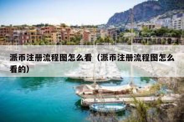 派币注册流程图怎么看（派币注册流程图怎么看的） 第1张