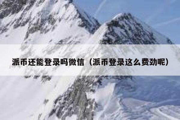 派币还能登录吗微信（派币登录这么费劲呢） 第1张