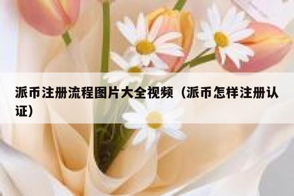 派币注册流程图片大全视频(派币怎样注册认证) 第1张 派币注册流程图片大全视频(派币怎样注册认证) 第1张