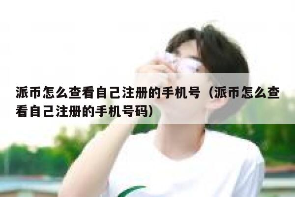 派币怎么查看自己注册的手机号(派币怎么查看自己注册的手机号码) 第1张 派币怎么查看自己注册的手机号(派币怎么查看自己注册的手机号码) 第1张