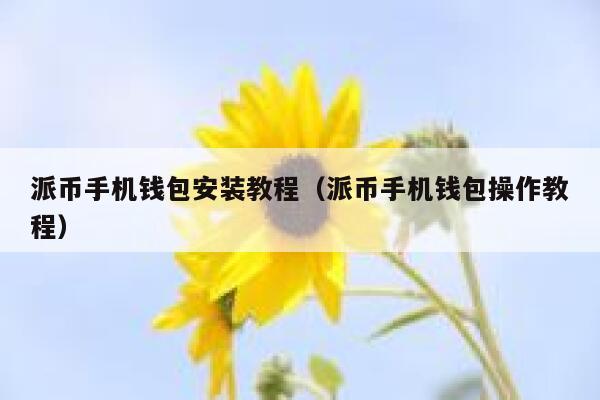 派币手机钱包安装教程（派币手机钱包操作教程） 第1张