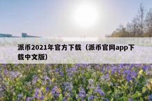 派币2021年官方下载（派币官网app下载中文版） 第1张