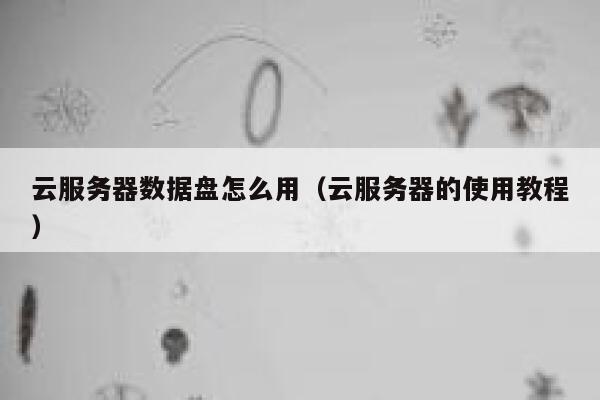 云服务器数据盘怎么用(云服务器的使用教程) 第1张 云服务器数据盘怎么用(云服务器的使用教程) 第1张