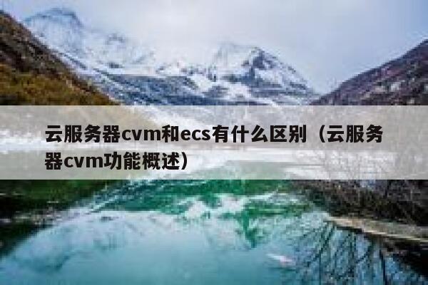 云服务器cvm和ecs有什么区别(云服务器cvm功能概述) 第1张 云服务器cvm和ecs有什么区别(云服务器cvm功能概述) 第1张