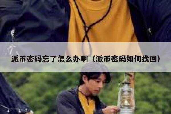 派币密码忘了怎么办啊（派币密码如何找回） 第1张