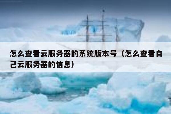 怎么查看云服务器的系统版本号（怎么查看自己云服务器的信息） 第1张